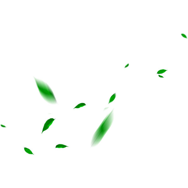Green-Leaves-PNG-File